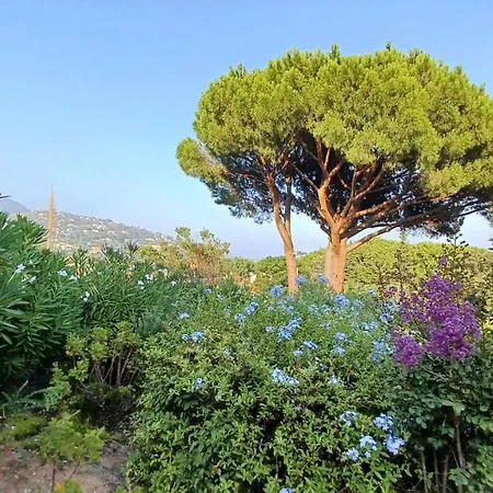 Accogliente Alloggio Pochi Passi Dalla Spiaggia.