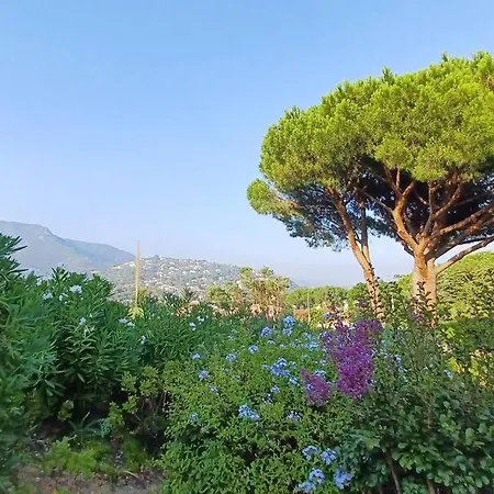 Accogliente Alloggio Pochi Passi Dalla Spiaggia. Apartment *